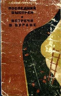 Алексей Горбачев - Последний выстрел. Встречи в Буране - Читать 📖 Читать онлайн 👀 Читаемые книги читать онлайн бесплатно 🔥 booksread-online.com