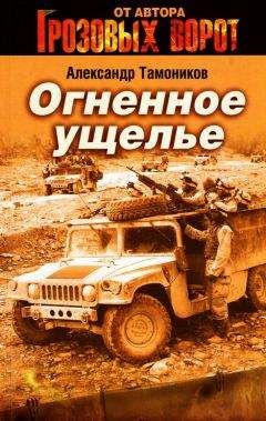 Александр Тамоников - Огненное ущелье - Читать 📖 Читать онлайн 👀 Читаемые книги читать онлайн бесплатно 🔥 booksread-online.com
