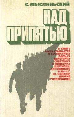 Станислав Мыслиньский - Над Припятью - Читать 📖 Читать онлайн 👀 Читаемые книги читать онлайн бесплатно 🔥 booksread-online.com