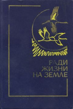 Николай Грибачев - Здравствуй, комбат! - Читать 📖 Читать онлайн 👀 Читаемые книги читать онлайн бесплатно 🔥 booksread-online.com