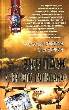 Александр Соколов - Экипаж «черного тюльпана» - Читать 📖 Читать онлайн 👀 Читаемые книги читать онлайн бесплатно 🔥 booksread-online.com