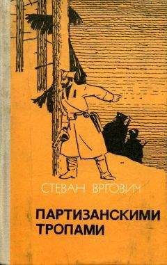 Стеван Вргович - Партизанскими тропами - Читать | Читать онлайн | Читаемые книги читать онлайн бесплатно | booksread-online.com