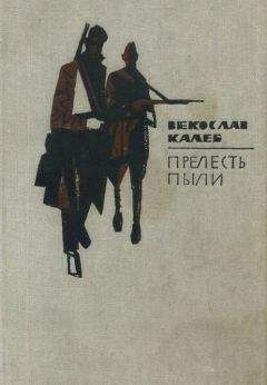 Векослав Калеб - Прелесть пыли - Читать 📖 Читать онлайн 👀 Читаемые книги читать онлайн бесплатно 🔥 booksread-online.com