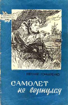 Евгений Гончаренко - Самолет не вернулся - Читать 📖 Читать онлайн 👀 Читаемые книги читать онлайн бесплатно 🔥 booksread-online.com