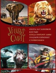 Уилбур Смит - Охота за слоновой костью. Когда пируют львы. Голубой горизонт. Стервятники - Читать | Читать онлайн | Читаемые книги читать онлайн бесплатно | booksread-online.com