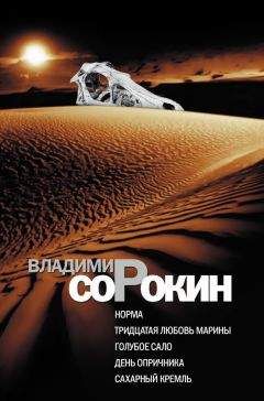 Владимир Сорокин - Норма. Тридцатая любовь Марины. Голубое сало. День опричника. Сахарный Кремль - Читать 📖 Читать онлайн 👀 Читаемые книги читать онлайн бесплатно 🔥 booksread-online.com