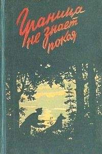 Александр Авдеенко - Граница не знает покоя - Читать 📖 Читать онлайн 👀 Читаемые книги читать онлайн бесплатно 🔥 booksread-online.com