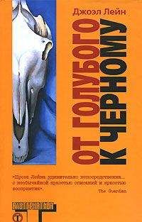 Джоэл Лейн - От голубого к черному - Читать | Читать онлайн | Читаемые книги читать онлайн бесплатно | booksread-online.com