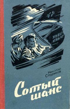 Николай Стуриков - Сотый шанс - Читать 📖 Читать онлайн 👀 Читаемые книги читать онлайн бесплатно 🔥 booksread-online.com
