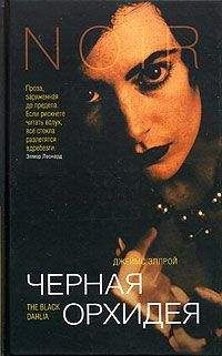 Джеймс Эллрой - Черная Орхидея - Читать 📖 Читать онлайн 👀 Читаемые книги читать онлайн бесплатно 🔥 booksread-online.com