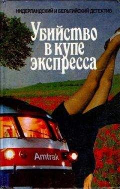Альберт Баантьер - НИДЕРЛАНДСКИЙ И БЕЛЬГИЙСКИЙ ДЕТЕКТИВ - Читать 📖 Читать онлайн 👀 Читаемые книги читать онлайн бесплатно 🔥 booksread-online.com