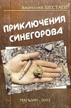 Анатолий Шестаев - Приключения Синегорова - Читать 📖 Читать онлайн 👀 Читаемые книги читать онлайн бесплатно 🔥 booksread-online.com