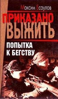Максим Есаулов - Попытка к бегству - Читать | Читать онлайн | Читаемые книги читать онлайн бесплатно | booksread-online.com