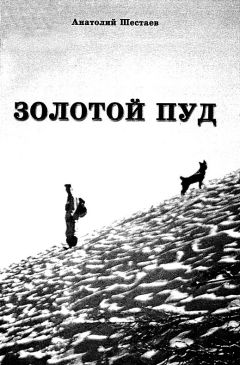 Анатолий Шестаев - Золотой пуд - Читать 📖 Читать онлайн 👀 Читаемые книги читать онлайн бесплатно 🔥 booksread-online.com