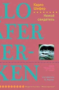 Карло Шефер - Немой свидетель - Читать 📖 Читать онлайн 👀 Читаемые книги читать онлайн бесплатно 🔥 booksread-online.com