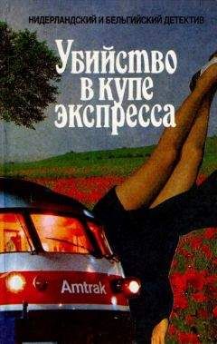 Альберт Баантьер - Убийство в купе экспресса - Читать 📖 Читать онлайн 👀 Читаемые книги читать онлайн бесплатно 🔥 booksread-online.com