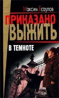 Максим Есаулов - В темноте (сборник) - Читать 📖 Читать онлайн 👀 Читаемые книги читать онлайн бесплатно 🔥 booksread-online.com