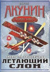 Борис Акунин - Летающий слон - Читать 📖 Читать онлайн 👀 Читаемые книги читать онлайн бесплатно 🔥 booksread-online.com