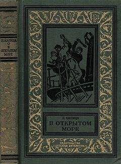 Петр Капица - В открытом море - Читать 📖 Читать онлайн 👀 Читаемые книги читать онлайн бесплатно 🔥 booksread-online.com