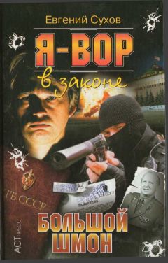 Олег Алякринский - Большой шмон - Читать 📖 Читать онлайн 👀 Читаемые книги читать онлайн бесплатно 🔥 booksread-online.com