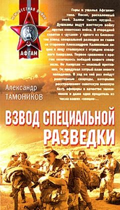 Александр Тамоников - Взвод специальной разведки - Читать 📖 Читать онлайн 👀 Читаемые книги читать онлайн бесплатно 🔥 booksread-online.com