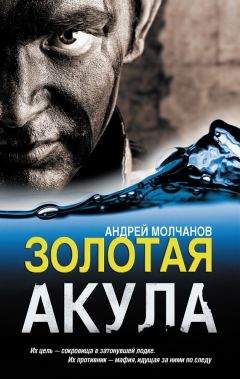 Андрей Молчанов - Золотая акула - Читать 📖 Читать онлайн 👀 Читаемые книги читать онлайн бесплатно 🔥 booksread-online.com