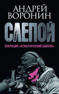 Андрей Воронин - Слепой. Операция «Атлантический циклон» - Читать 📖 Читать онлайн 👀 Читаемые книги читать онлайн бесплатно 🔥 booksread-online.com