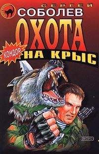 Сергей Соболев - Охота на крыс - Читать | Читать онлайн | Читаемые книги читать онлайн бесплатно | booksread-online.com