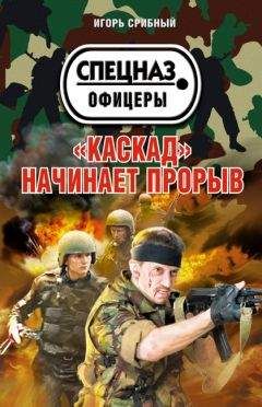 Игорь Срибный - «Каскад» начинает прорыв - Читать 📖 Читать онлайн 👀 Читаемые книги читать онлайн бесплатно 🔥 booksread-online.com