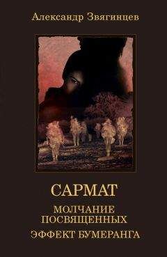 Александр Звягинцев - Молчание посвященных. Эффект бумеранга (сборник) - Читать 📖 Читать онлайн 👀 Читаемые книги читать онлайн бесплатно 🔥 booksread-online.com
