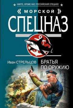 Иван Стрельцов - Братья по оружию - Читать 📖 Читать онлайн 👀 Читаемые книги читать онлайн бесплатно 🔥 booksread-online.com