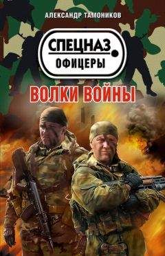 Александр Тамоников - Волки войны - Читать 📖 Читать онлайн 👀 Читаемые книги читать онлайн бесплатно 🔥 booksread-online.com