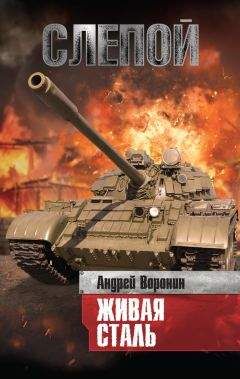 Андрей Воронин - Слепой. Живая сталь - Читать | Читать онлайн | Читаемые книги читать онлайн бесплатно | booksread-online.com