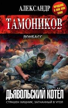 Александр Тамоников - Дьявольский котёл - Читать 📖 Читать онлайн 👀 Читаемые книги читать онлайн бесплатно 🔥 booksread-online.com