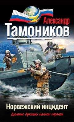 Александр Тамоников - Норвежский инцидент - Читать 📖 Читать онлайн 👀 Читаемые книги читать онлайн бесплатно 🔥 booksread-online.com
