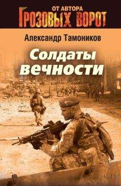 Александр Тамоников - Солдаты вечности - Читать 📖 Читать онлайн 👀 Читаемые книги читать онлайн бесплатно 🔥 booksread-online.com