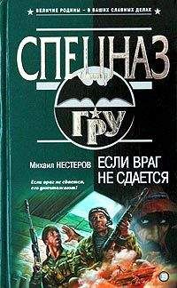 Михаил Нестеров - Если враг не сдается - Читать 📖 Читать онлайн 👀 Читаемые книги читать онлайн бесплатно 🔥 booksread-online.com