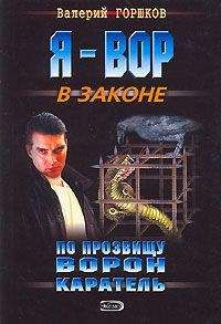Валерий Горшков - Каратель - Читать 📖 Читать онлайн 👀 Читаемые книги читать онлайн бесплатно 🔥 booksread-online.com