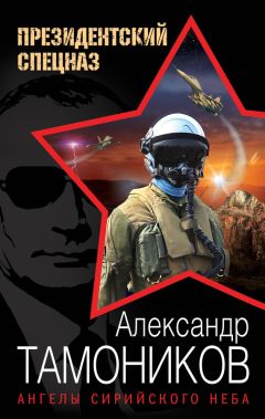 Александр Тамоников - Ангелы сирийского неба - Читать 📖 Читать онлайн 👀 Читаемые книги читать онлайн бесплатно 🔥 booksread-online.com