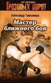 Александр Тамоников - Мастер ближнего боя - Читать | Читать онлайн | Читаемые книги читать онлайн бесплатно | booksread-online.com