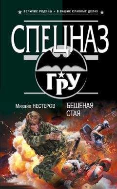 Михаил Нестеров - Бешеная стая - Читать 📖 Читать онлайн 👀 Читаемые книги читать онлайн бесплатно 🔥 booksread-online.com