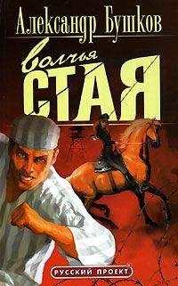 Александр Бушков - Волчья стая - Читать 📖 Читать онлайн 👀 Читаемые книги читать онлайн бесплатно 🔥 booksread-online.com