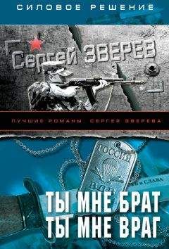 Сергей Зверев - Ты мне брат. Ты мне враг - Читать 📖 Читать онлайн 👀 Читаемые книги читать онлайн бесплатно 🔥 booksread-online.com