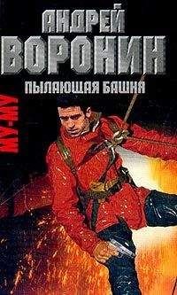 Андрей Воронин - Пылающая башня - Читать 📖 Читать онлайн 👀 Читаемые книги читать онлайн бесплатно 🔥 booksread-online.com