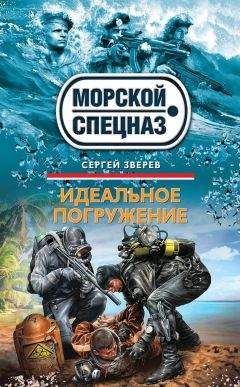 Сергей Зверев - Идеальное погружение - Читать | Читать онлайн | Читаемые книги читать онлайн бесплатно | booksread-online.com