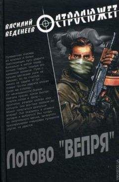 Василий Веденеев - Логово «ВЕПРЯ» - Читать 📖 Читать онлайн 👀 Читаемые книги читать онлайн бесплатно 🔥 booksread-online.com