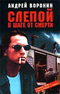 Андрей Воронин - Слепой в шаге от смерти - Читать | Читать онлайн | Читаемые книги читать онлайн бесплатно | booksread-online.com