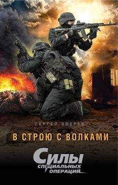Сергей Зверев - В строю с волками - Читать 📖 Читать онлайн 👀 Читаемые книги читать онлайн бесплатно 🔥 booksread-online.com