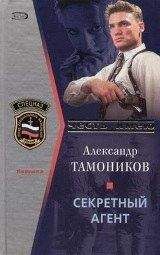 Александр Тамоников - Секретный агент - Читать 📖 Читать онлайн 👀 Читаемые книги читать онлайн бесплатно 🔥 booksread-online.com