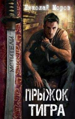 Николай Мороз - Прыжок тигра - Читать 📖 Читать онлайн 👀 Читаемые книги читать онлайн бесплатно 🔥 booksread-online.com